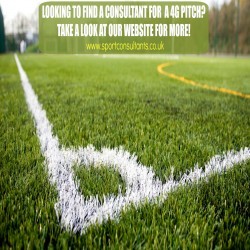 Sports Turf Consultancy 11