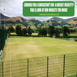Sports Turf Consultancy 2